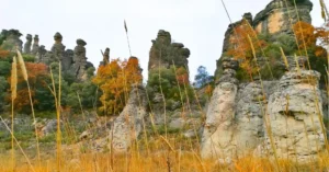 Agujas y Chimeneas de Hadas de los Frailes. Barranco del Reato. Guadalajara.