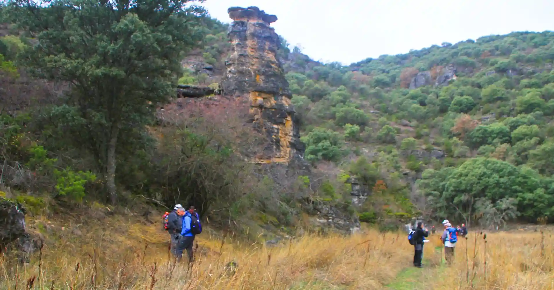 Barranco del Reato. Formaciones Geológicas de los Frailes. Guadalajara.