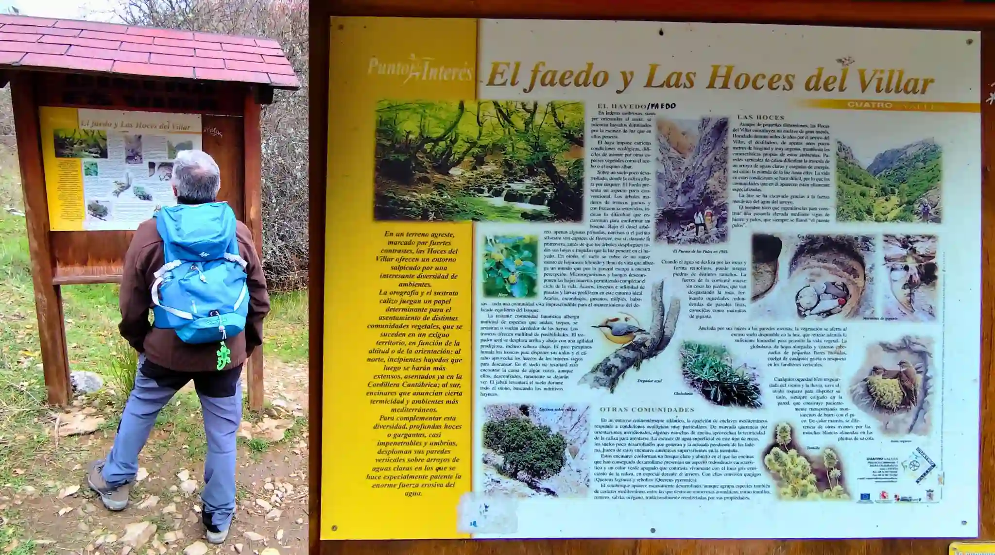 Cartel Informativo del Faedo de Ciñera, León