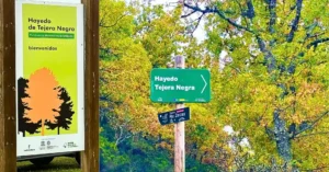 Carteles del Hayedo de Tejera Negra. Cantalojas. Guadalajara.