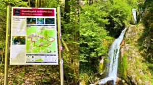 Cascadas Edelfrauengrab, Selva Negra. Alemania.