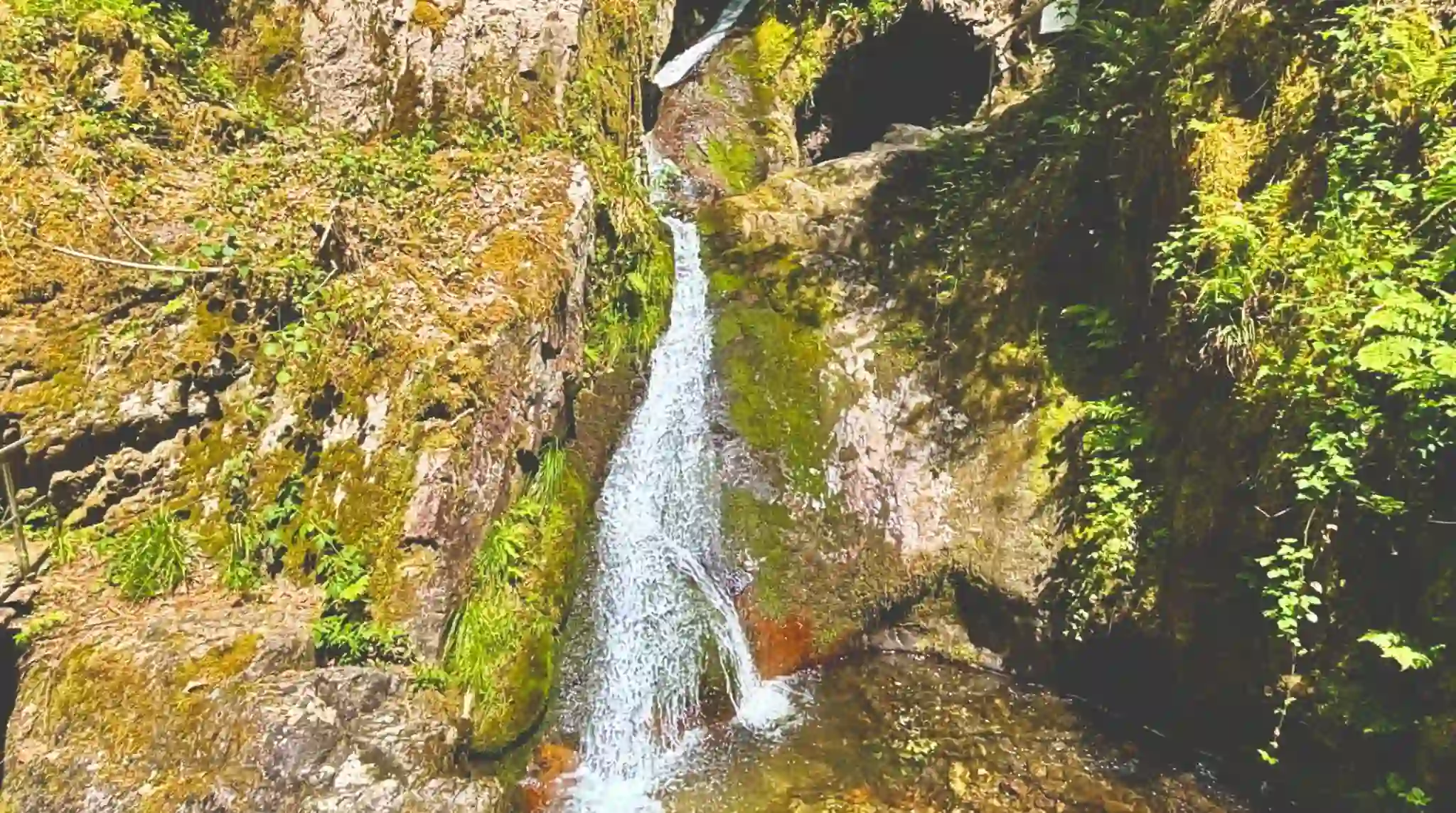 Cascadas de Edelfrauengrab, Selva Negra. Alemania.