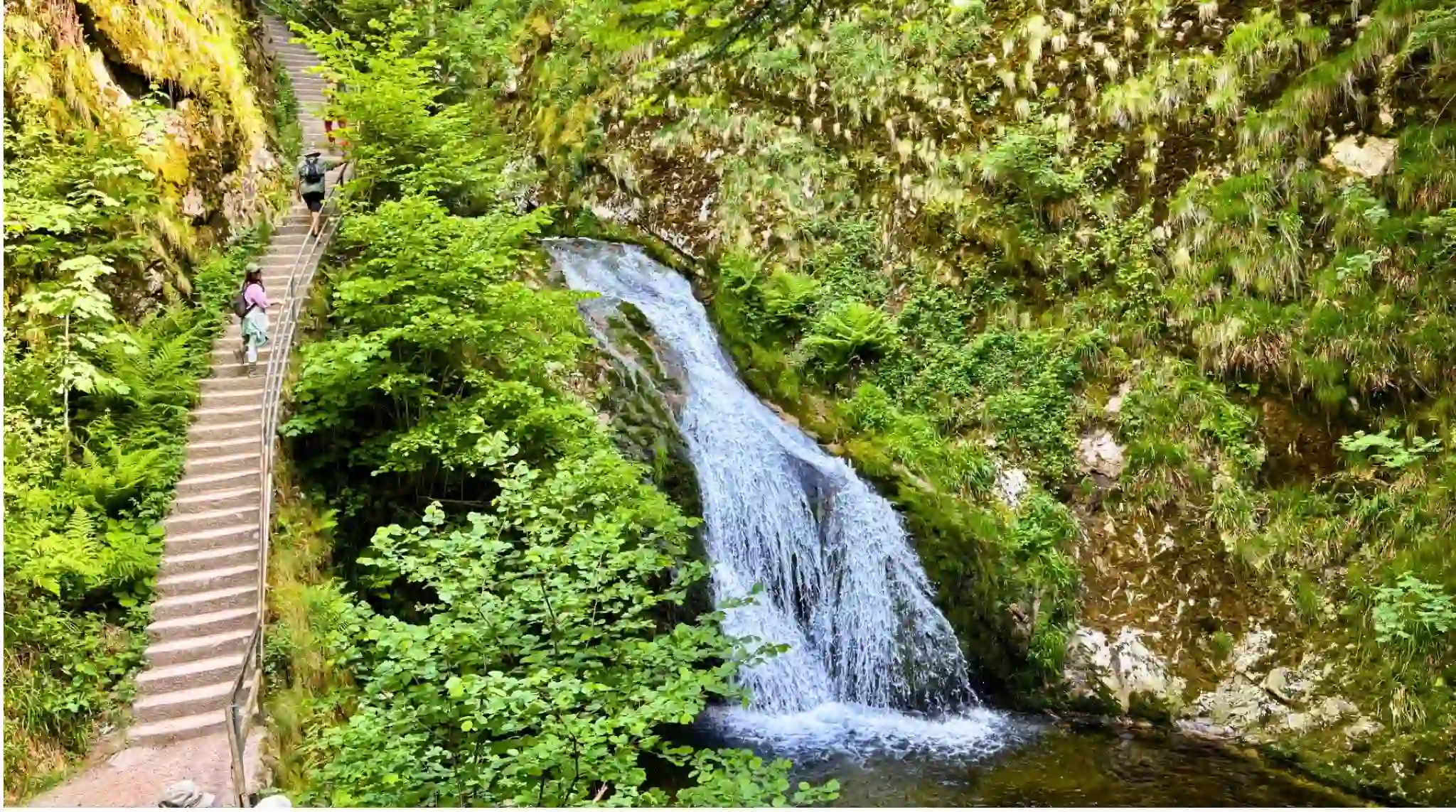 Cascadas de Allerheiligen Wasserfälle, Selva Negra. Alemania.