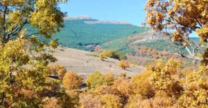 El Otoño en la Sierra de Ayllón. Hayedo de Montejo. Puebla de la Sierra.