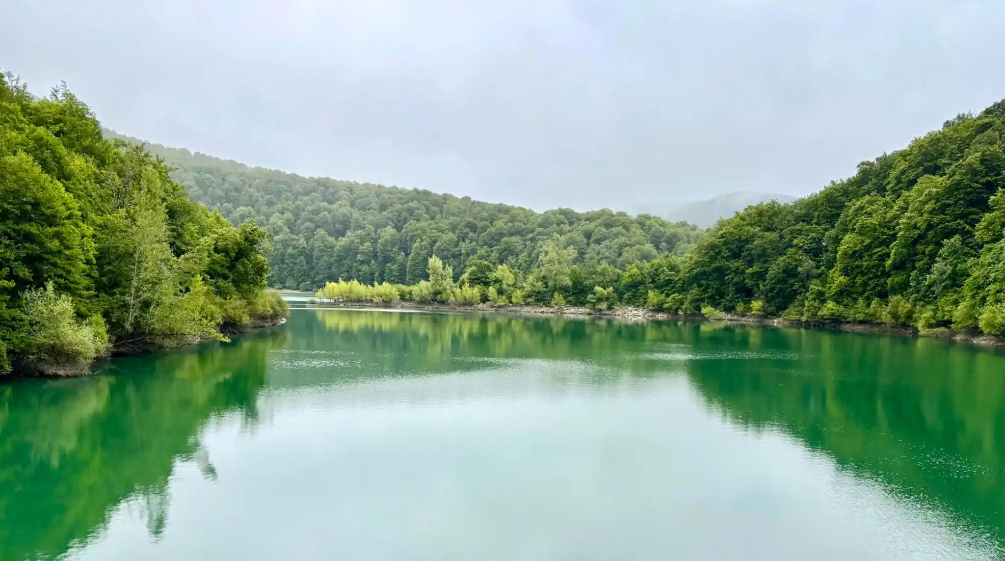 Embalse de Irabia, Selva de Irati. Navarra.