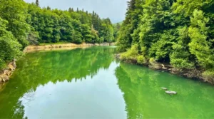 Embalse de Irabia en la Selva de Irati. Navarra.