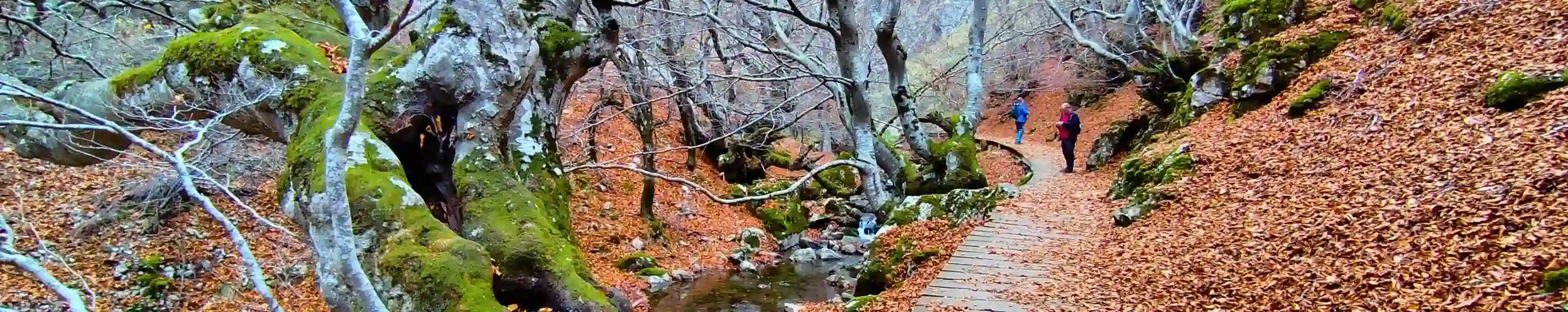 Faedo de Ciñera, León