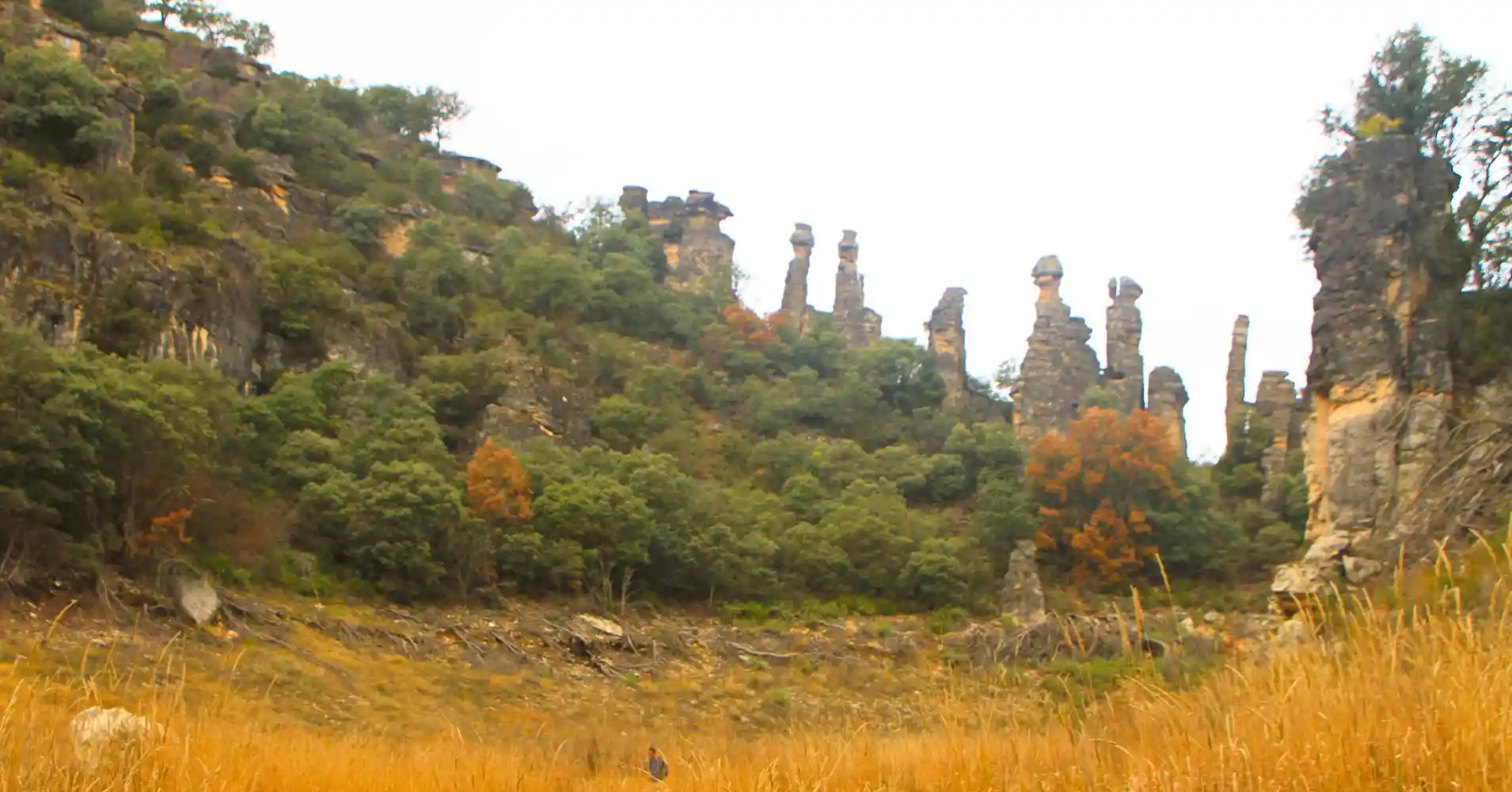 Formaciones Geológicas de los Frailes- Barranco del Reato. Guadalajara.