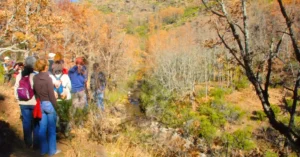 Grupo en la Ruta por el Hayedo de Montejo. Puebla de la Sierra. Madrid.