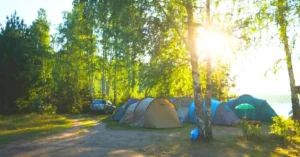 Guía Camping de Andalucía.