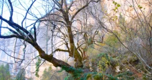 Hoz de Beteta, Cuenca.