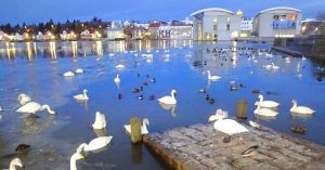 Lago Tjörnin. Reykjavik Capital de Islandia.