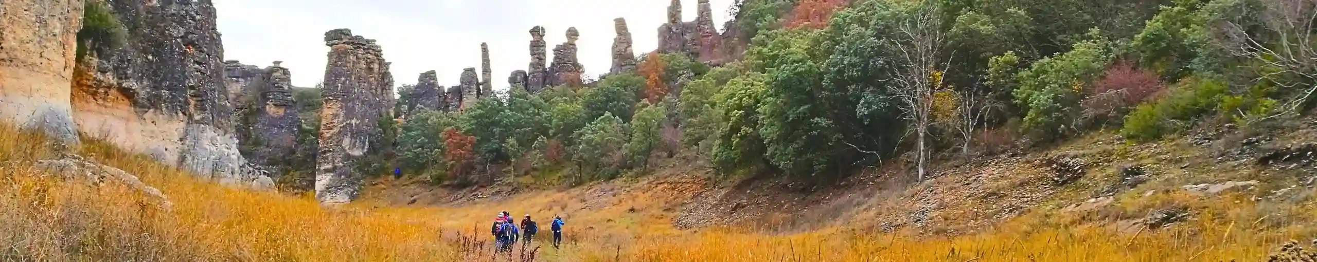 Barranco del Reato, Guadalajara.