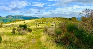 Mirador de la Pradera de Mata Redonda en el Hayedo de Tejera Negra, Guadalajara, Castilla la Mancha.