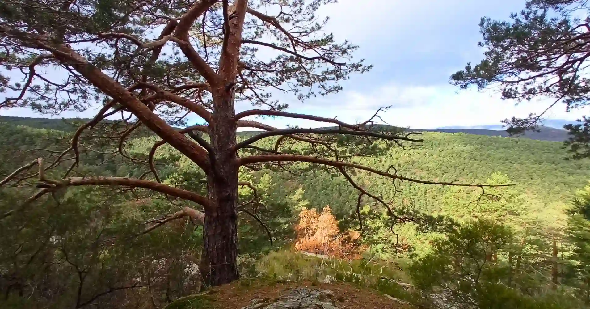 Mirador de la Sierra de Madrid en el Abedular de Canencia, Madrid Mirador de la Sierra de Madrid en el Abedular de Canencia, Madrid