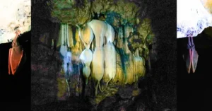 Murciélagos y Formaciones en la Cueva de la Ramera. Senda Ecológica Hoz de Beteta. Cuenca.
