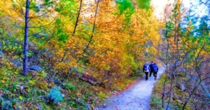 Otoño en la Senda Ecológica Hoz de Beteta, Cuenca.