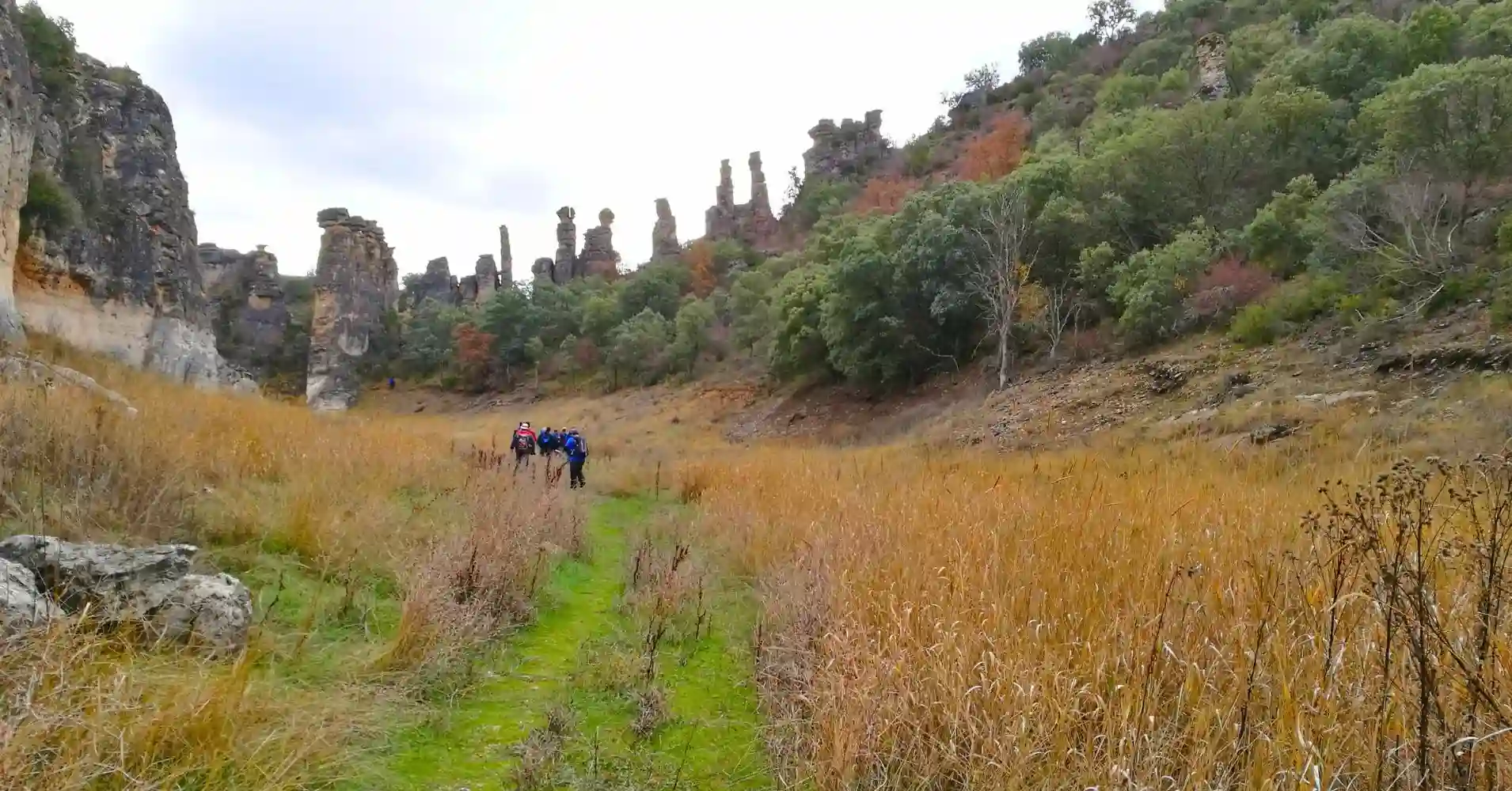 Panorámica de los Frailes en el Barranco del Reato. Guadalajara.