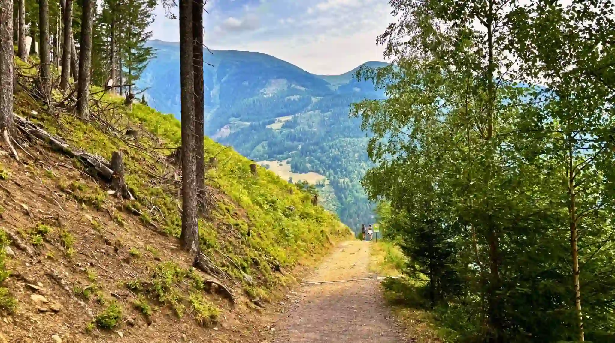 Paseo por los bosques del ,Valle de Möltar, Austria.