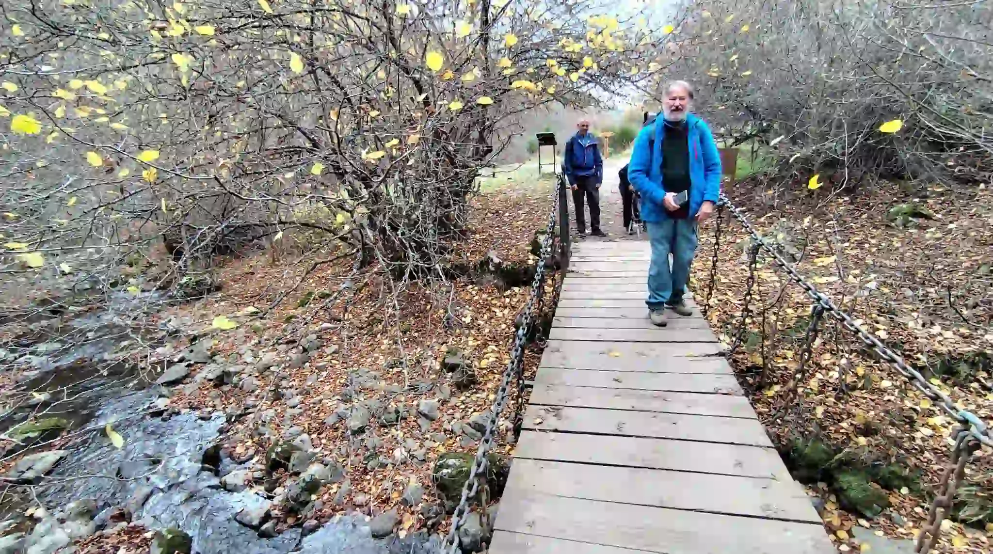 Pequeño puene pasarela con senderistas en el hayedo de Ciñera