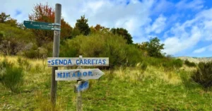 Poste de Direcciones en la Senda de las Carretas. Hayedo de Tejera Negra, Guadalajara.