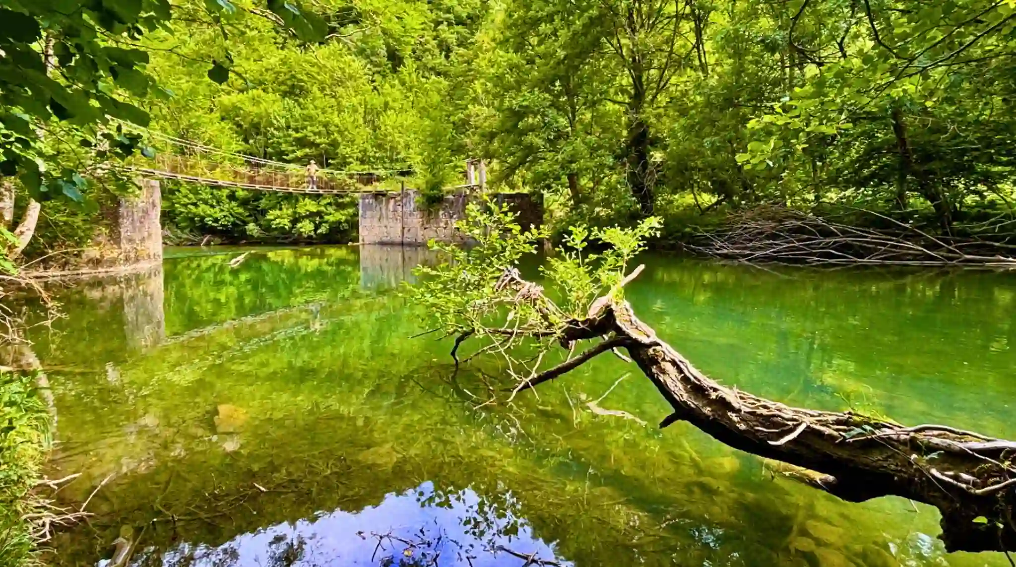 Puente Colgante de Inklusaldea (Aribe). Bosques de la Selva de Irati, Navarra.