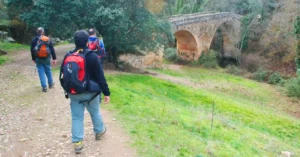 Puente de las Covatillas del Cañón del Río Pirón. Segovia.