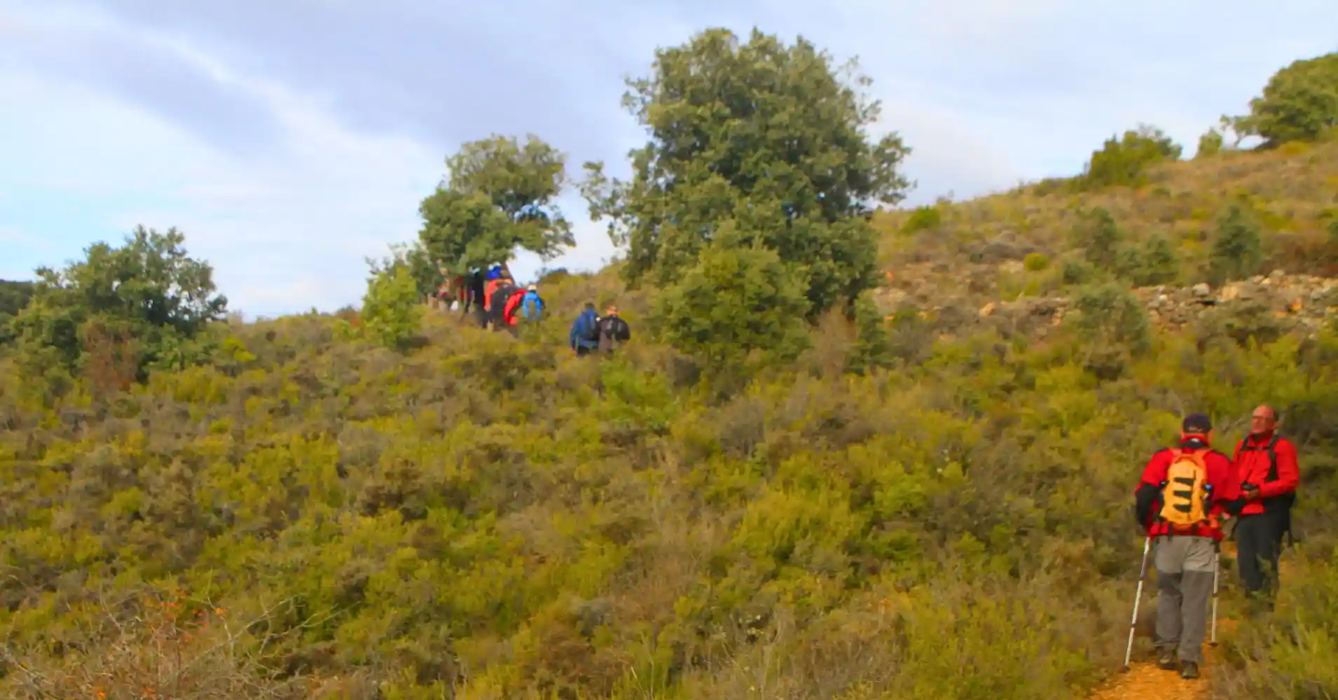 Remontando el Barranco del Reato. Guadalajara.