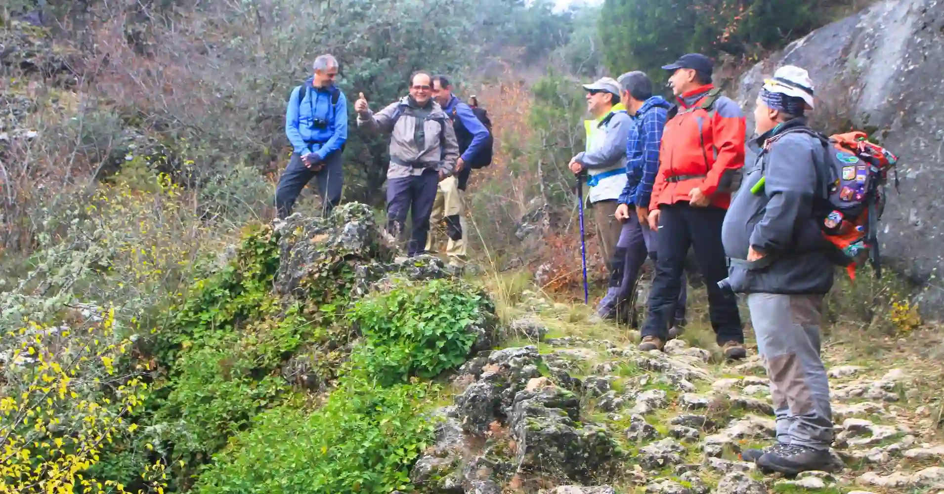 Ruta de Senderismo del Barranco del Reato, Guadalajara.