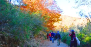 Ruta y Senda del Hayedo de Montejo.. Sierra del Rincón. Puebla de la Sierra.