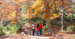 Senda del Hayedo de Montejo. Sierra del Rincón. Madrid.