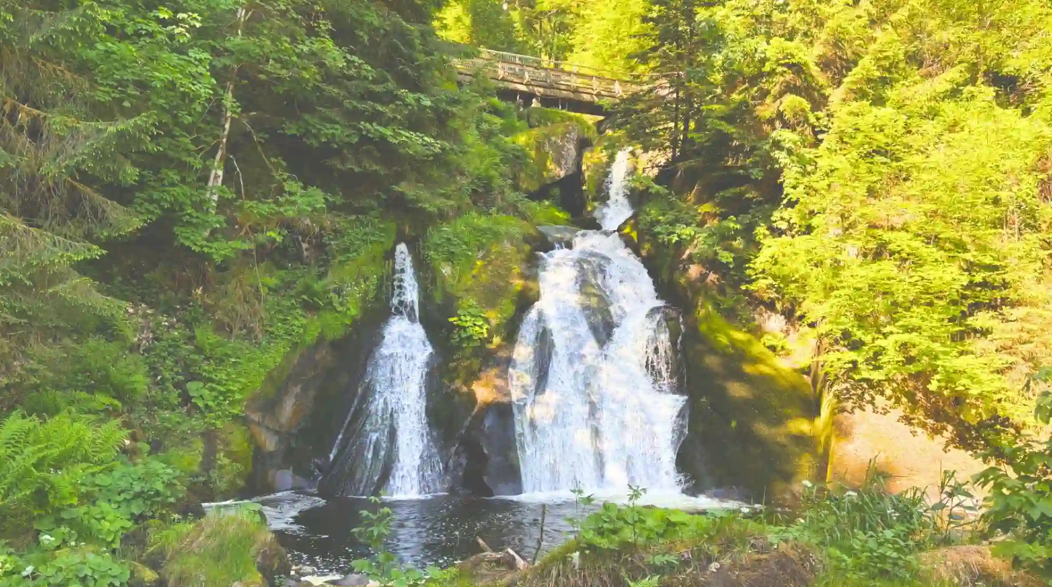 Sendero Amarillo, Cascadas de Triberg, Selva Negra. Alemania.