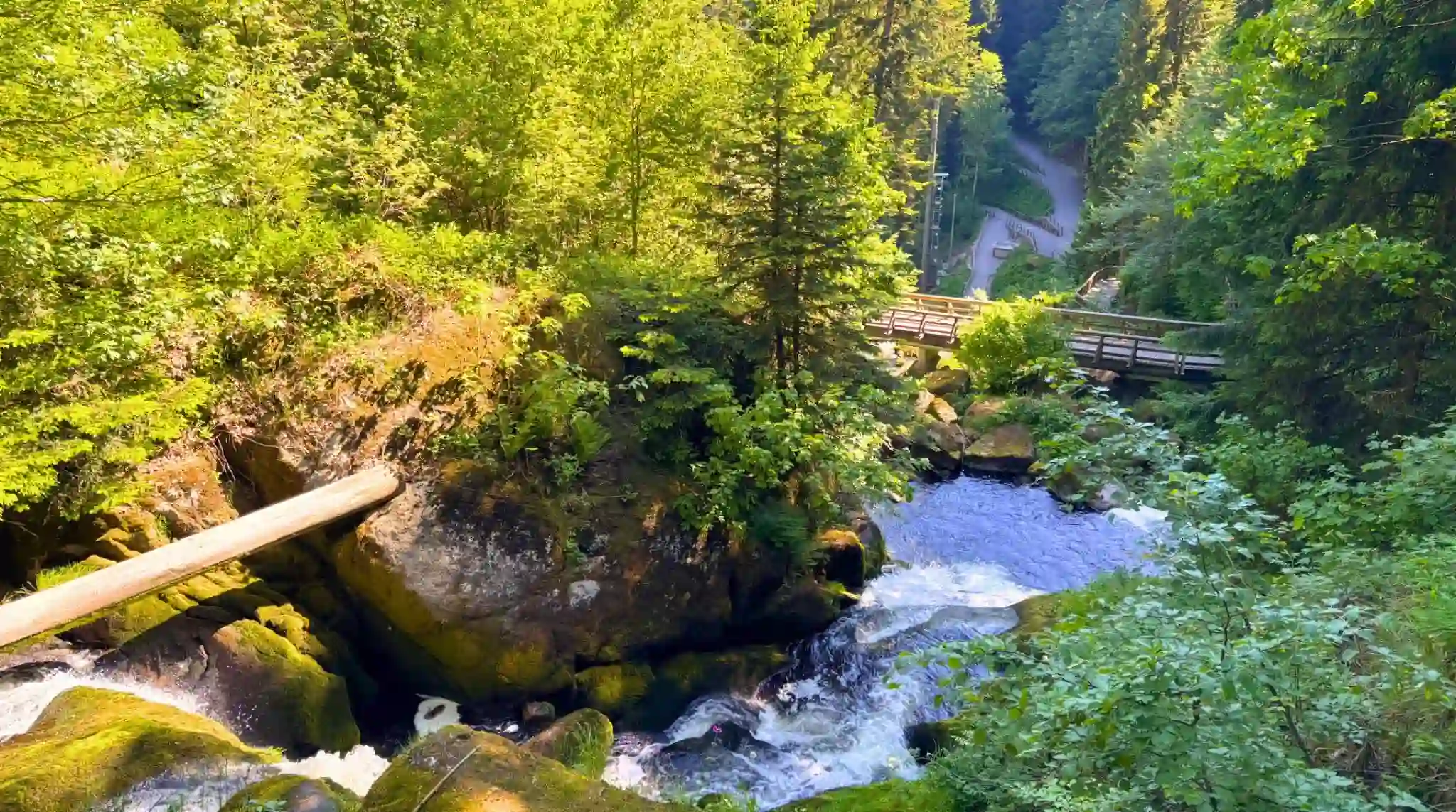Sendero Amarillo, Bosques de las Cascadas de Triberg, Selva Negra. Alemania.