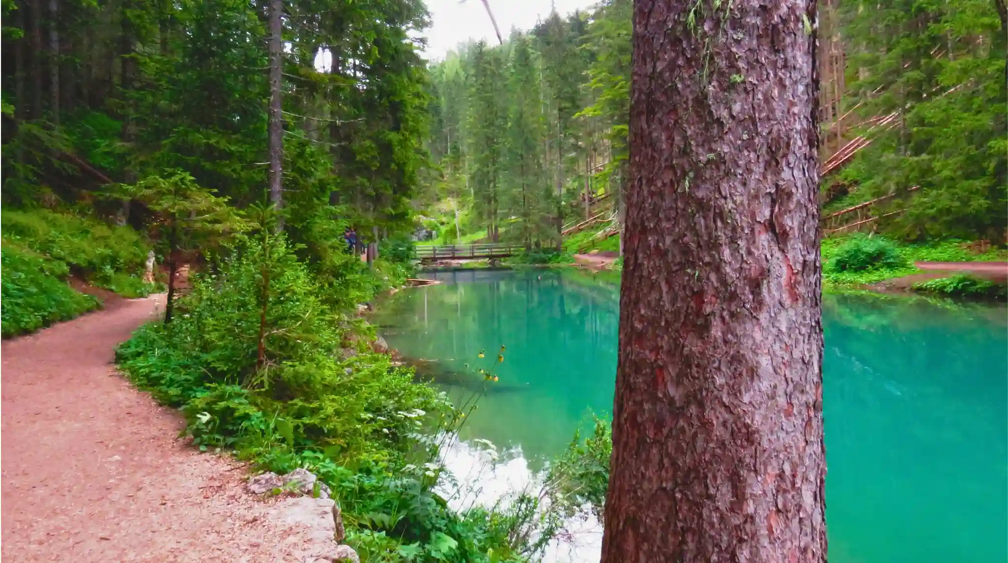 Sendero Circular del Lago di Braies, Dolomitas. Italia. Sendero Circular del Lago di Braies, Dolomitas. Italia.