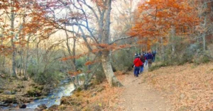 Sendero de la Ruta del Hayedo de Montejo. Puebla de la Sierra. Madrid.