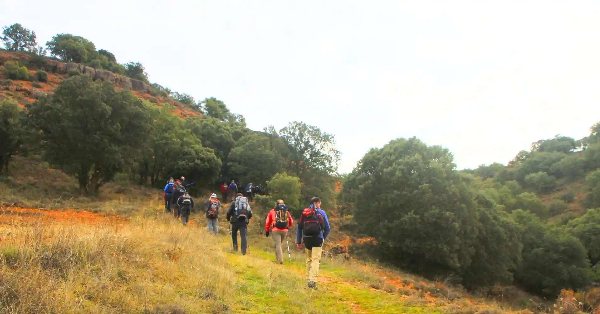 Sendero del Barranco del Reato, Guadalajara.