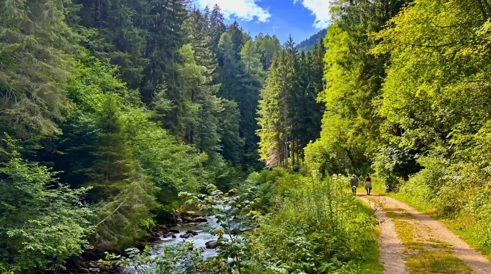Sendero en la Garganta Groppensteinchlucht, Flattach. Austria. Sendero en la Garganta Groppensteinchlucht, Flattach. Austria.