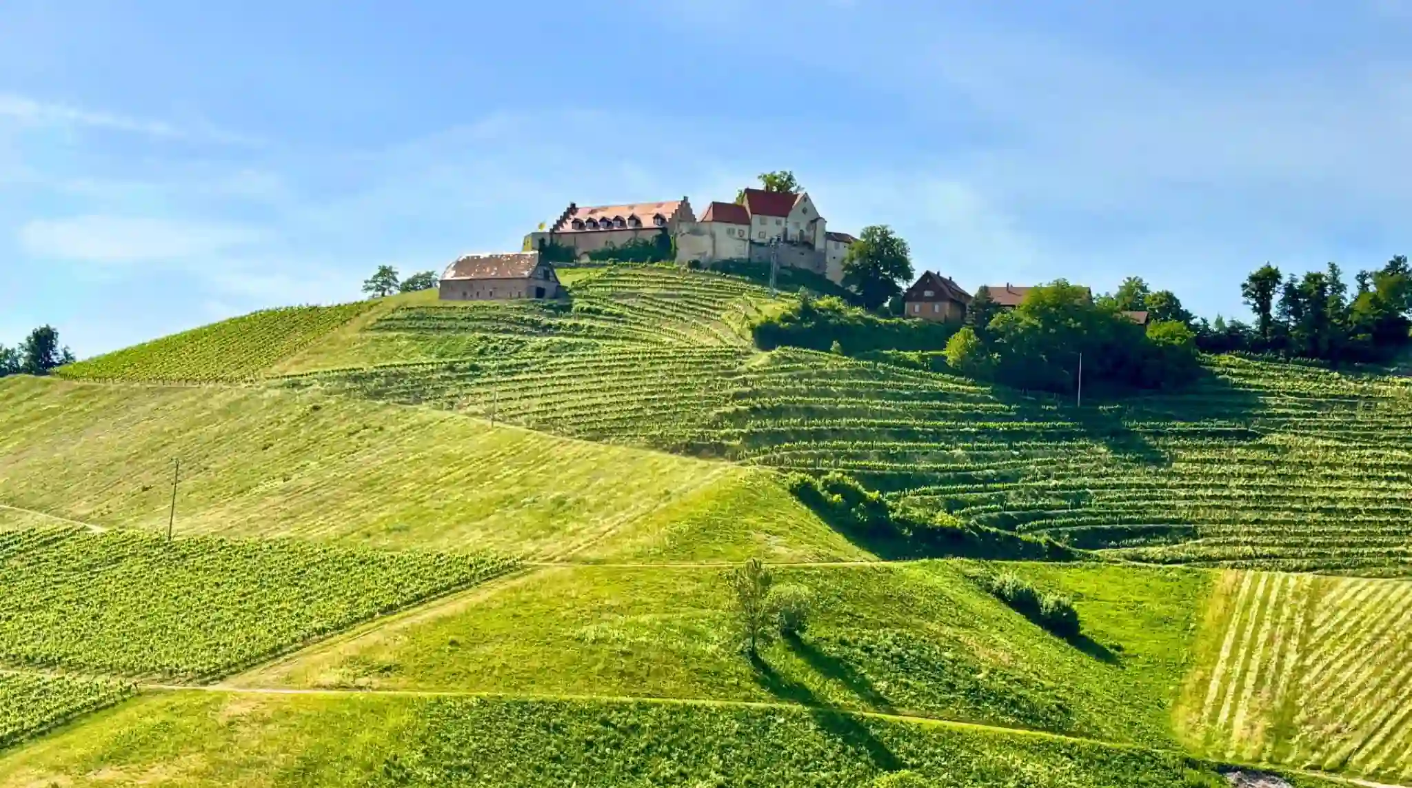 Staufenberg Castle en Selva Negra. Alemania.
