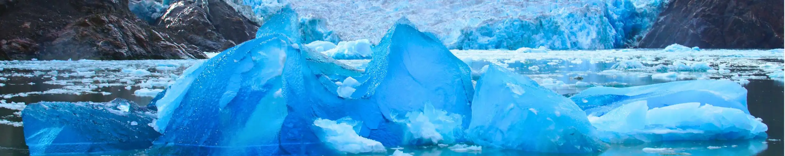 Tracy Arm Fjord, Alaska