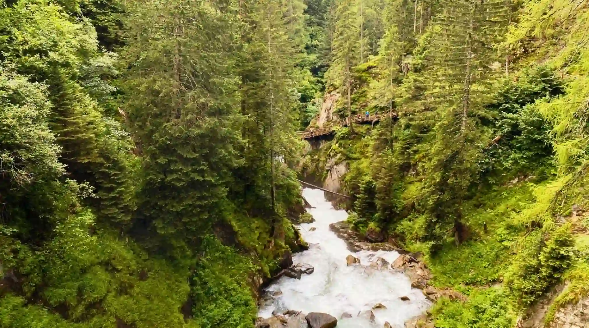 Vergel de la Garganta Groppensteinchlucht, Flattach. Austria. Vergel de la Garganta Groppensteinchlucht, Flattach. Austria.