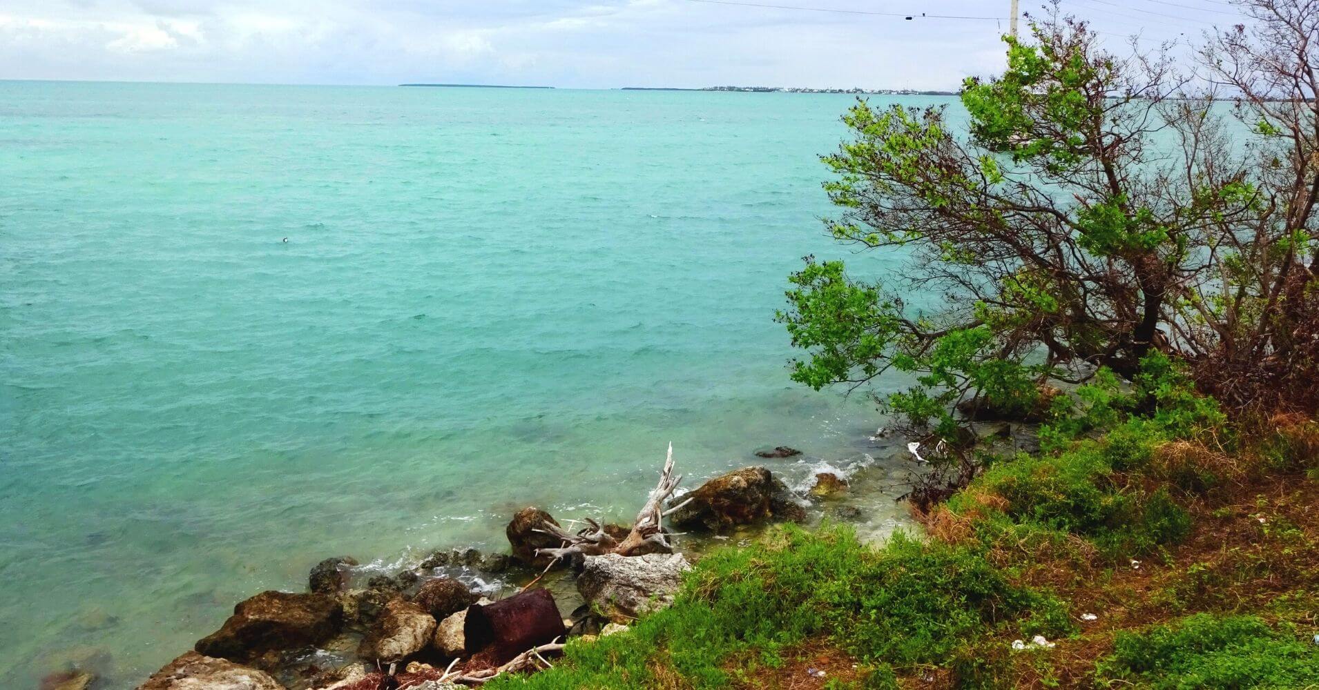 Aguas Turquesas de Key West. Cayos de Florida. Estados Unidos.