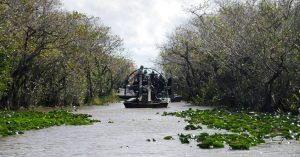 Air Boat. Parque Nacional Everglades. Florida, Estados Unidos.