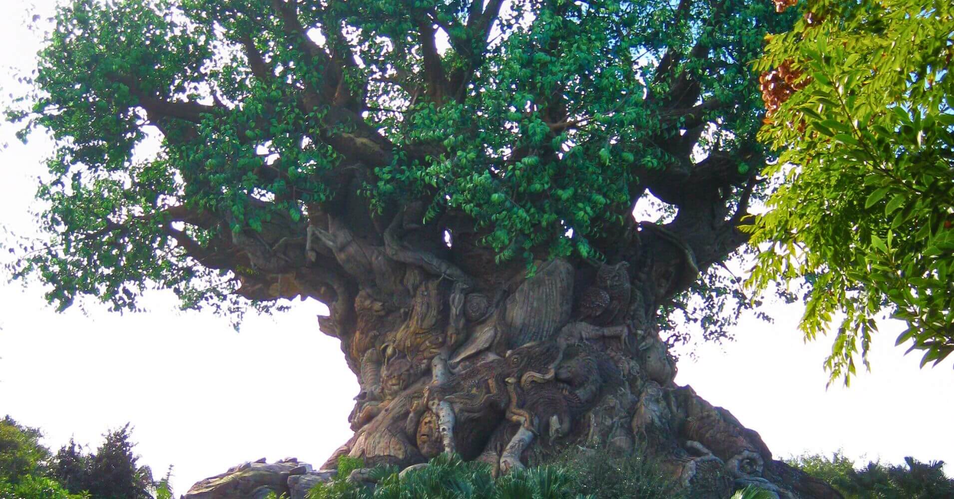Árbol de la Vida, Animal Kingdom. Disneyworld Mundo Disney. Orlando. Florida, Estados Unidos.