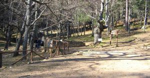 Área Recreativa del Valle de Iruelas. Ávila. Castilla y León.