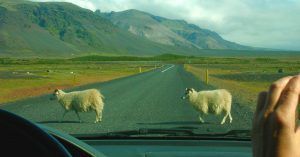 Arenales de Skeidarársandur. Road Trip por Islandia.