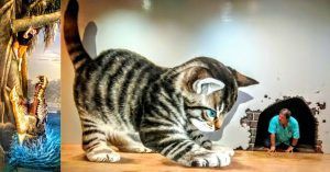 Art in Paradise 3D Chiang Mai. Gato. Tailandia.