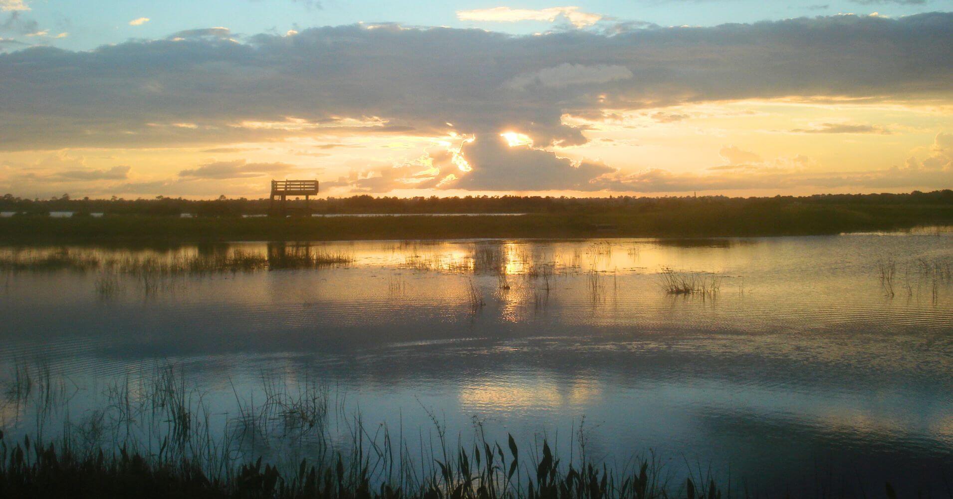 Atardecer en Ritch Grissom Memorial Wetlands. Brevard, Melbourne. Florida.