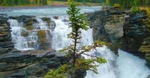 Athabasca Falls. Parque Nacional Jasper. Alberta, Canadá.