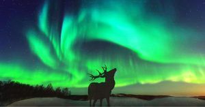 Aurora Boreal Noruega