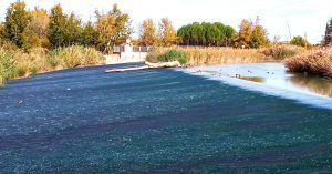 Azud de El Embocador. Río Tajo, Madrid.